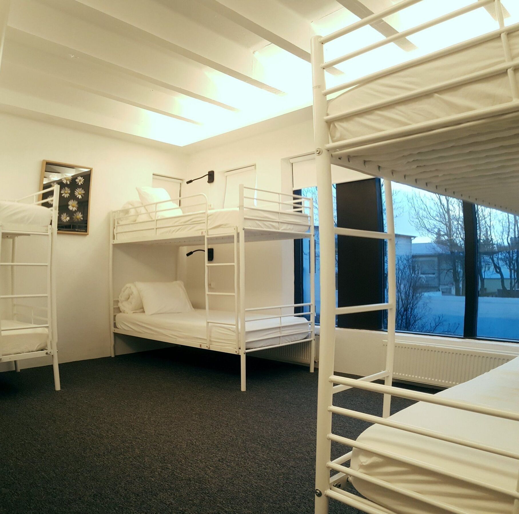 Laekur Hostel Reykjavík Eksteriør bilde